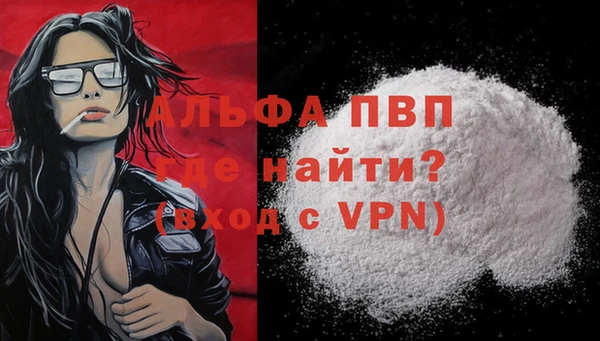 стафф Алексин