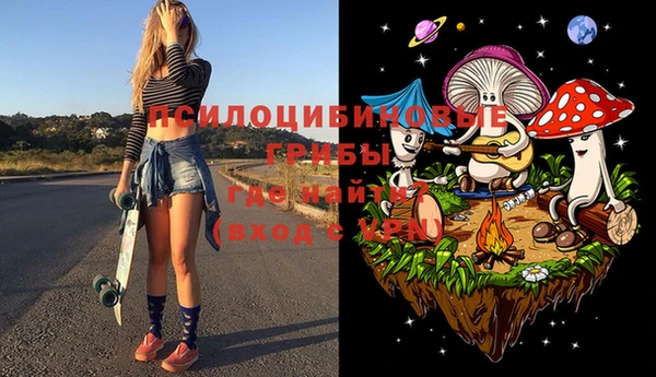 стафф Алексин