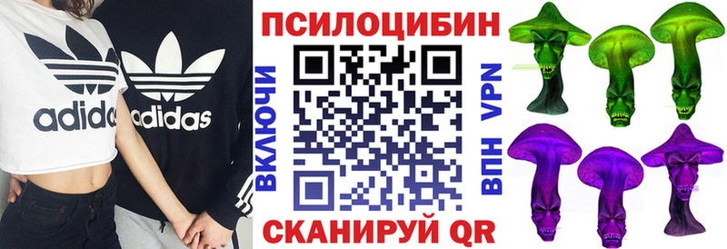 цена наркотик Сочи Псилоцибиновые грибы Psilocybine cubensis